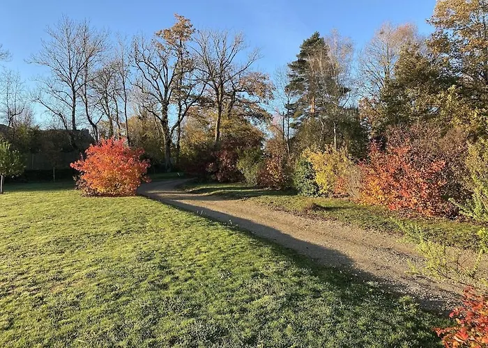 Contemporaine Avec Piscine Sur 4000 M2 à Rodez 9 Personnes * Onet-le-Château