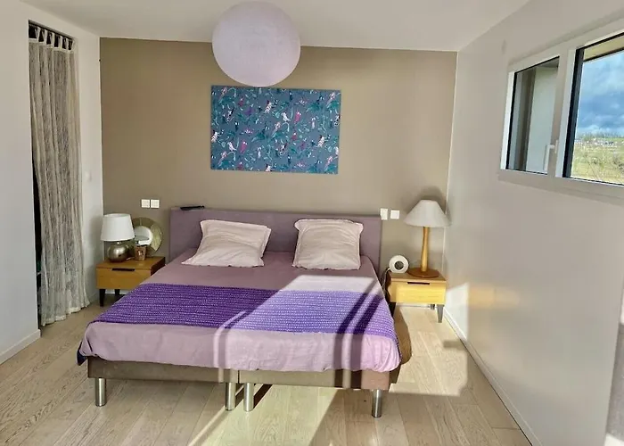 Contemporaine Avec Piscine Sur 4000 M2 à Rodez 9 Personnes