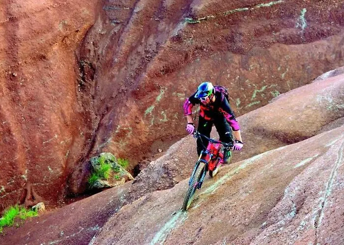 Contemporaine Avec Piscine Sur 4000 M2 à Rodez 9 Personnes Villa