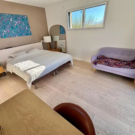 Contemporaine Avec Piscine Sur 4000 M2 A Rodez 9 Personnes * Onet-le-Château